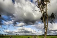 亚洲杯沙特对阵泰国，谁能更胜一筹？